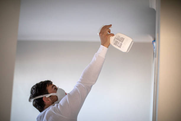 Best Mold Testing  in Wills Point, TX
