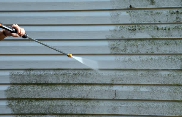 Best Mold Cleaning Services  in Wills Point, TX