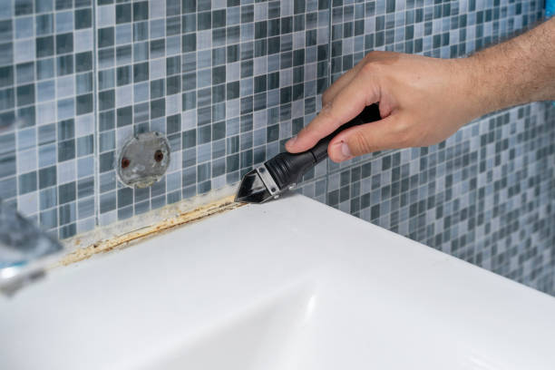 Best Mold Testing  in Wills Point, TX