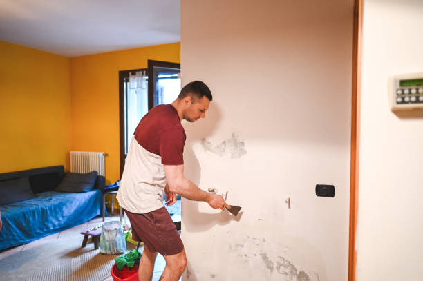 Best Mold Removal Near Me  in Wills Point, TX